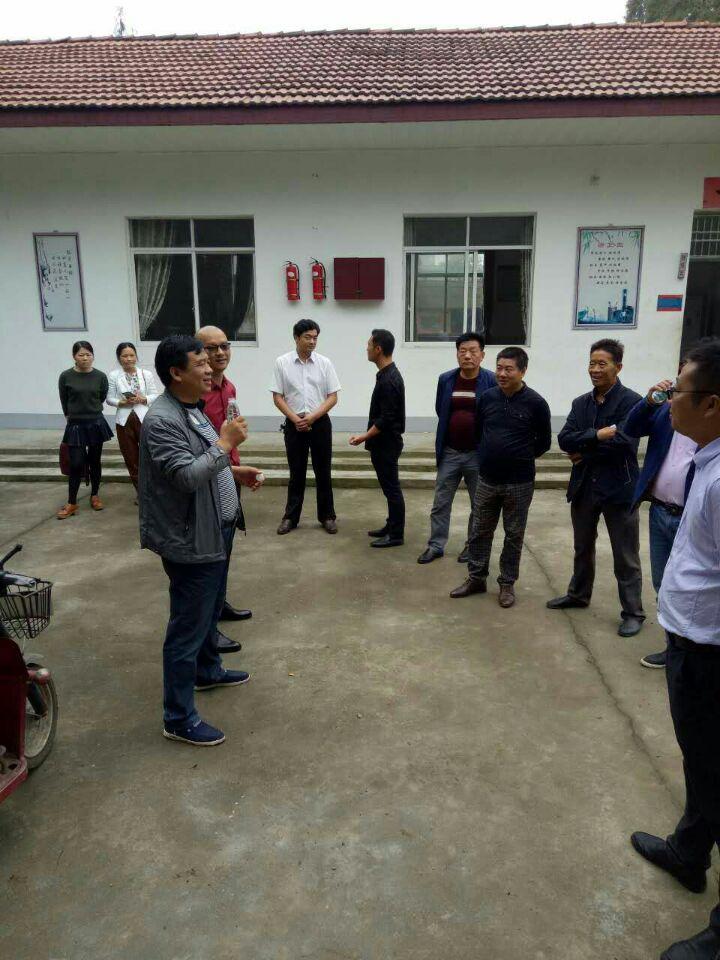汊河镇最新发展报告概览